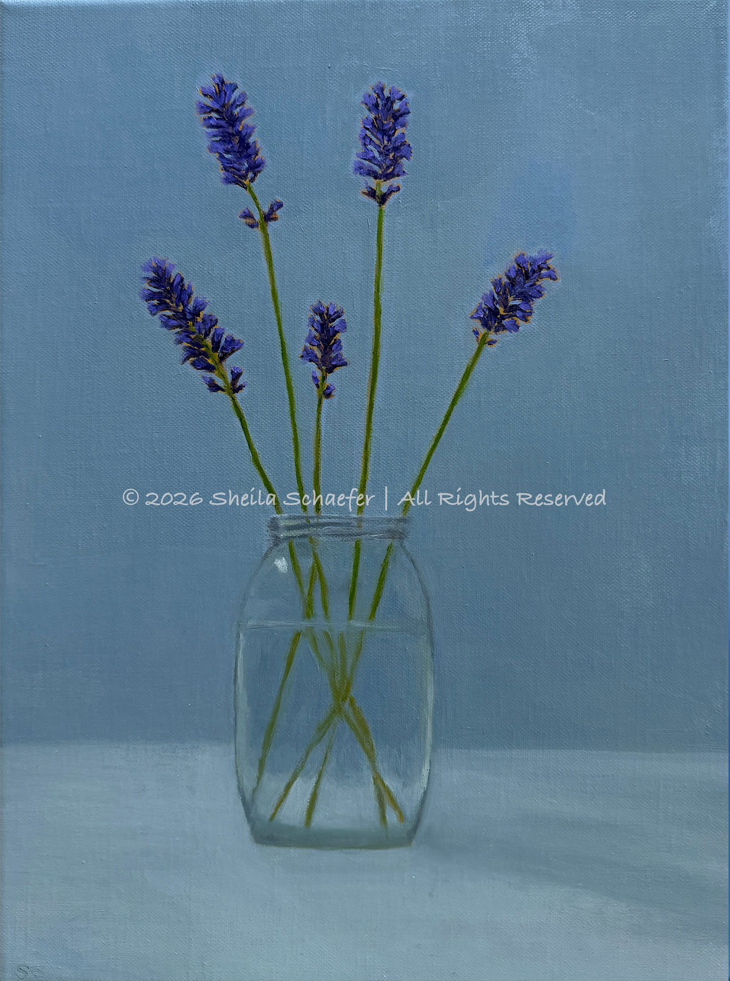 Geneva's Sunset